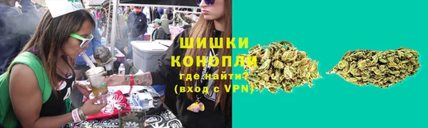 трава Заводоуковск