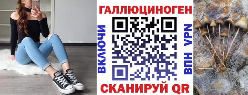 Псилоцибиновые грибы Cubensis  купить закладку  Стародуб 